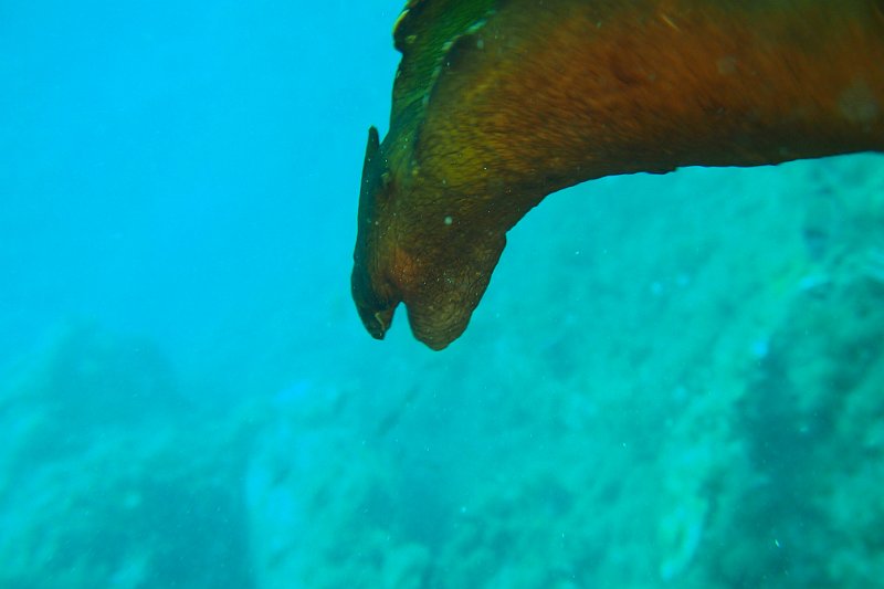 2016-09-30 12-00-21.jpg